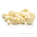 Price of Chinese Preserving Peeled Garlic